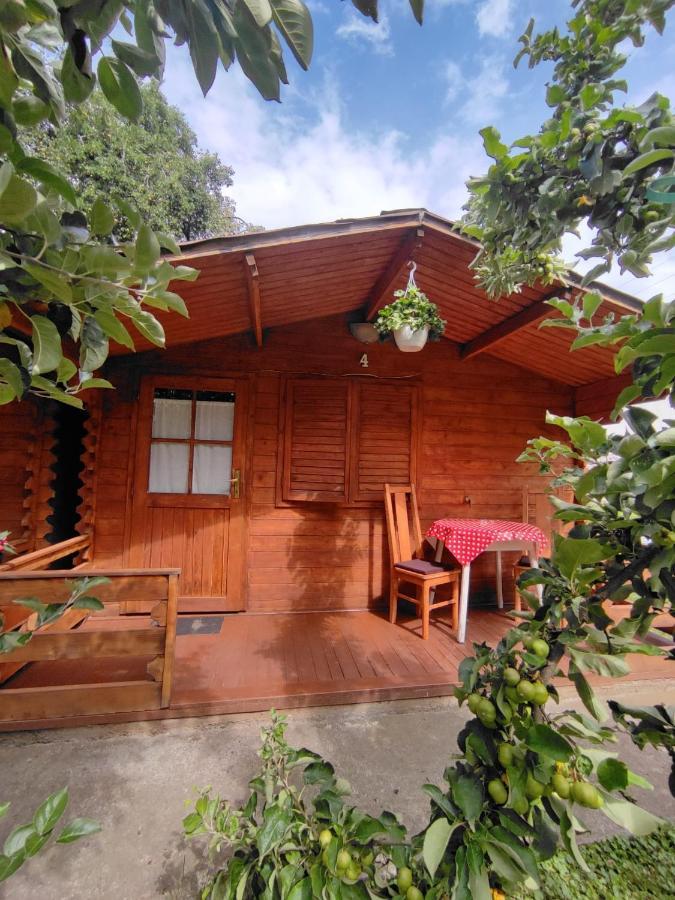 Harmonia-Lak Vendeghaz Villa Praid Exterior photo